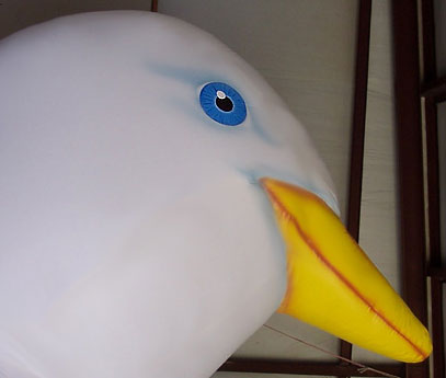 Dove Project