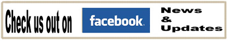 Big Ideas Parade Giants Facebook Link