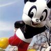 andy-panda9a