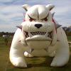 Bulldog-front08