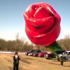 roseballoon