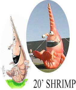 20' SHRIMP