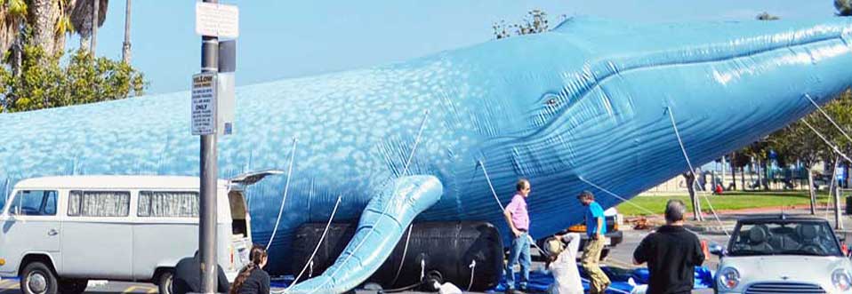 Blue Whale Giant Inflatable